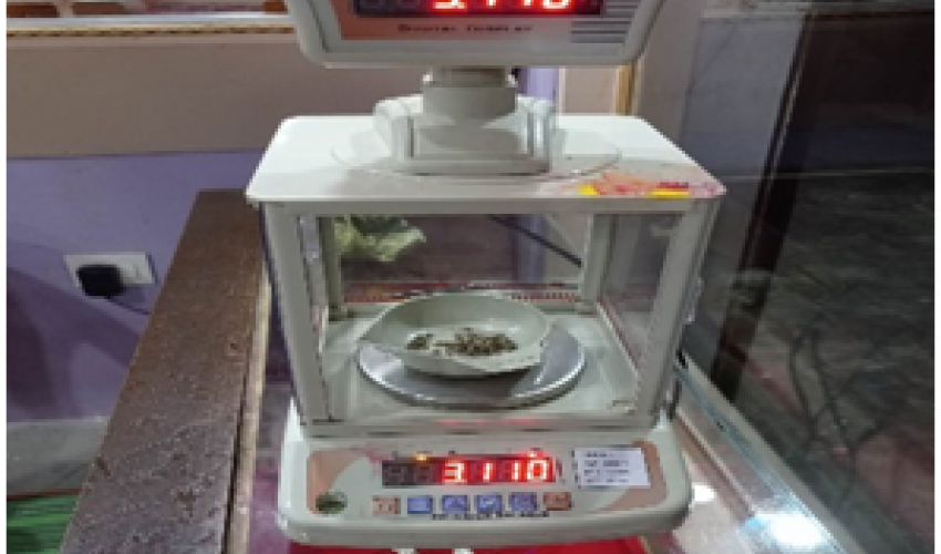 कञ्चनपुरमा ३ दशमलव ११ ग्राम लागुऔषधसहित ३ जना पक्राउ